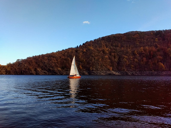Amme im Herbst Amme bei herbstlichem Wetter